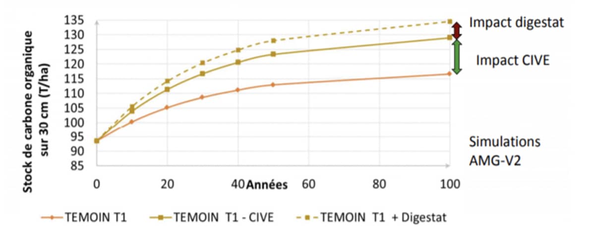 Graphique en courbe traitant de l'impact des CIVE sur le stockage de carbone