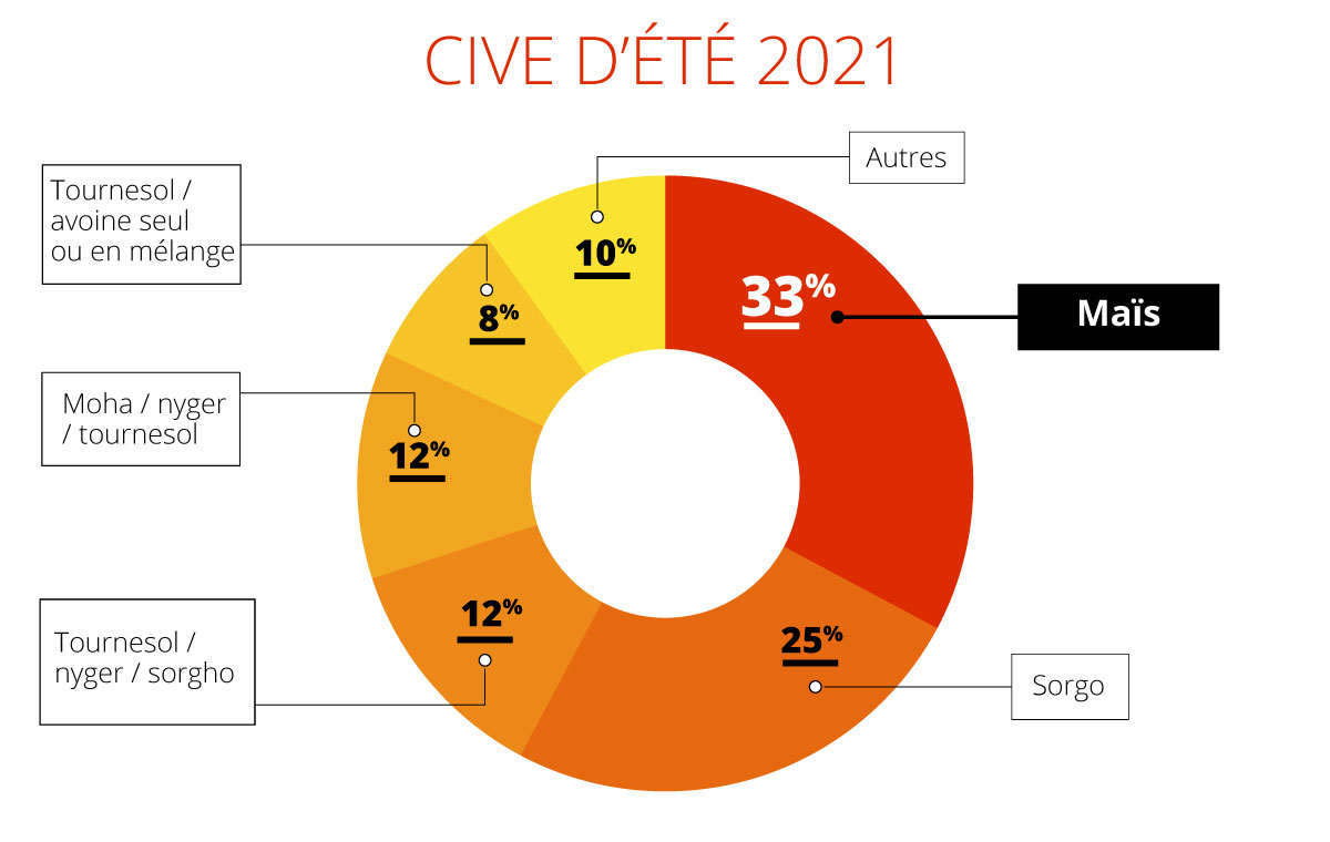 Infographie en donut des 6 espèces utilisés en CIVE d'été