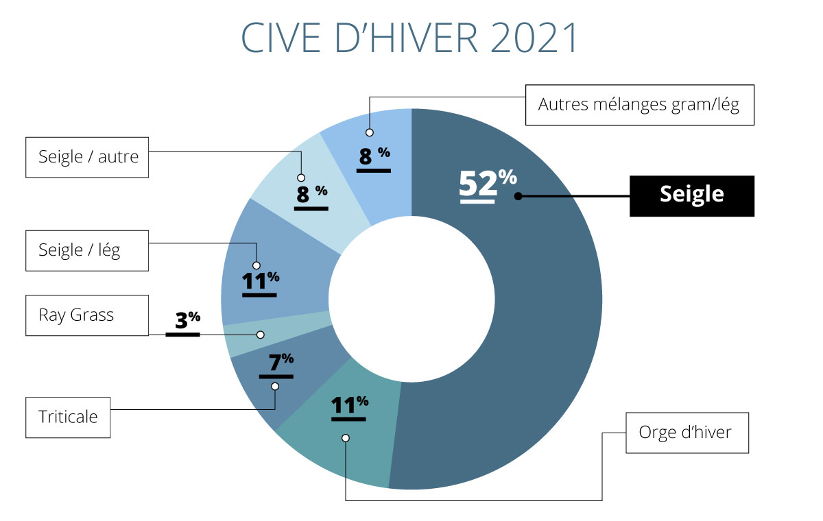 Infographie en donut des 7 espèces utilisés en CIVE d'hiver