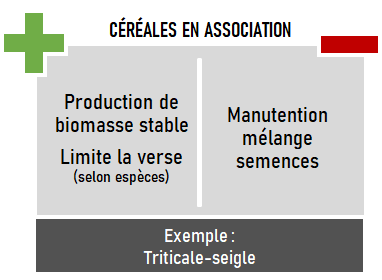 schema associer plusieurs céréales