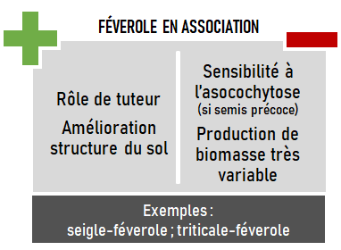 schema association feverole