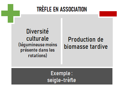 schema association trefle