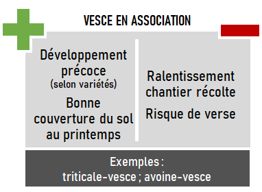 schema association vesce