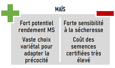 schema especes CIVE ete mais