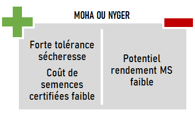 schema especes CIVE ete moha ou nyger