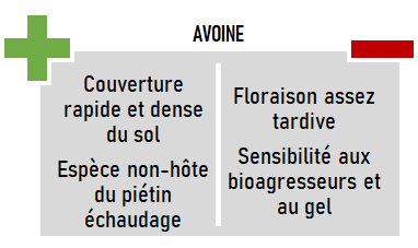 schema especes CIVE hiver avoine