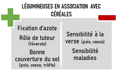 schema especes CIVE hiver legumineuses avec cereales