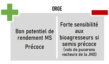 schema especes CIVE hiver orge