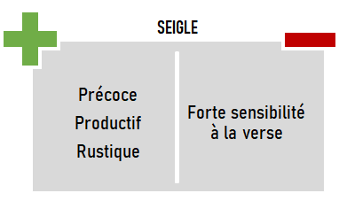 schema especes CIVE hiver seigle