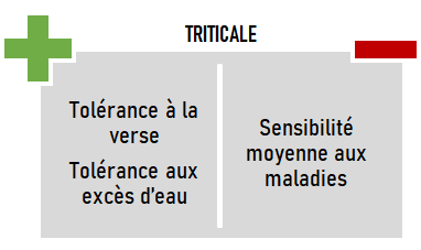 schema especes CIVE hiver triticale