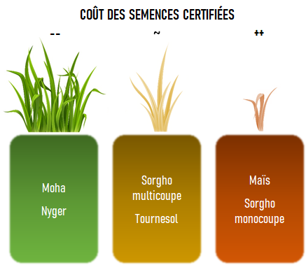 Infographie de 3 blocs de semences pour les CIVEs d'été