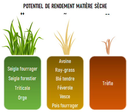 Infographie de 3 blocs de semences pour les CIVEs d'hiver