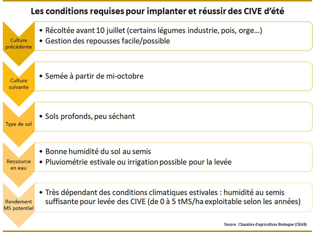 Infographie avec flèches jaunes sur les conditions pour implanter des CIVE d'été