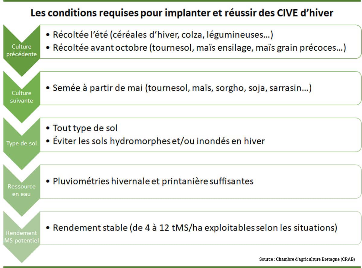 Infographie avec flèches vertes sur les conditions pour implanter et reussir CIVE d'hiver